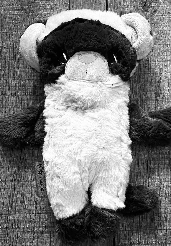 Mystery technicolor ferret