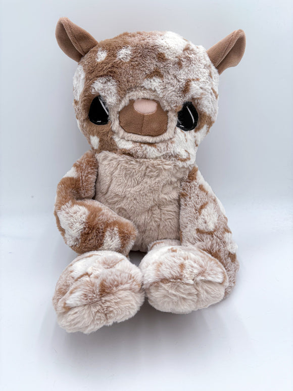 7654Quentin Quoll