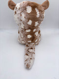 7654Quentin Quoll