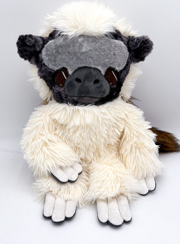 7654Ty Cotton Top Tamarin