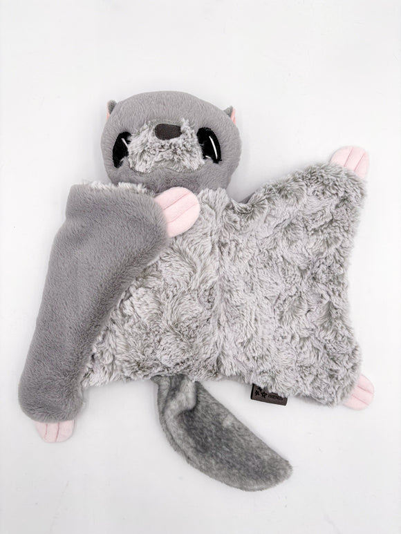 7654Jessamine Japanese Flying Squirrel
