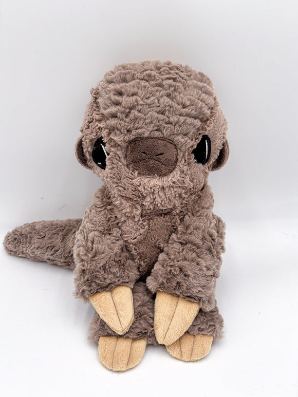 Phil Pangolin