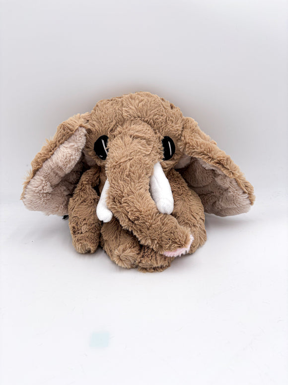0512 Tantor