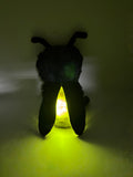0512 Francine Firefly