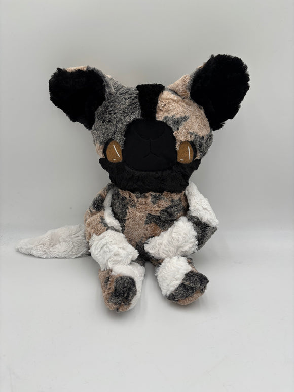 0512 Abby African Painted Dog