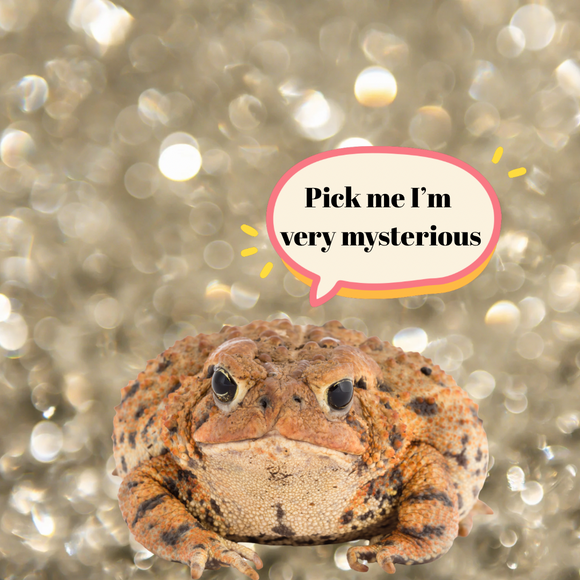 *PRE-ORDER* Mystery Toadspawn (6-8 week TAT)